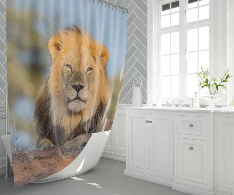 Majestic Majesty Lion Roaring Realm Shower Curtain 1