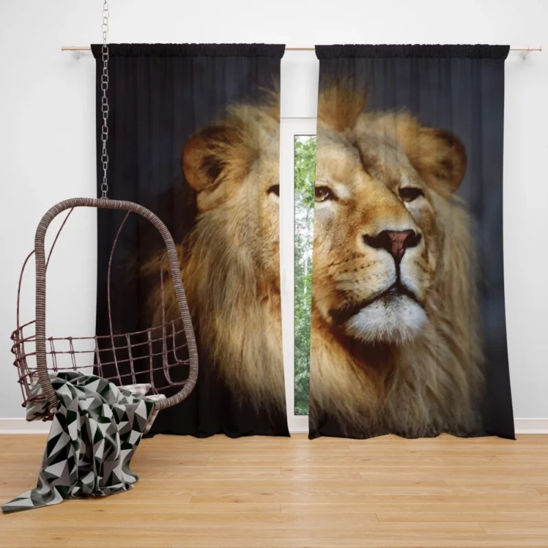 Majestic Majesty Lion Roaring Wilderness Curtain