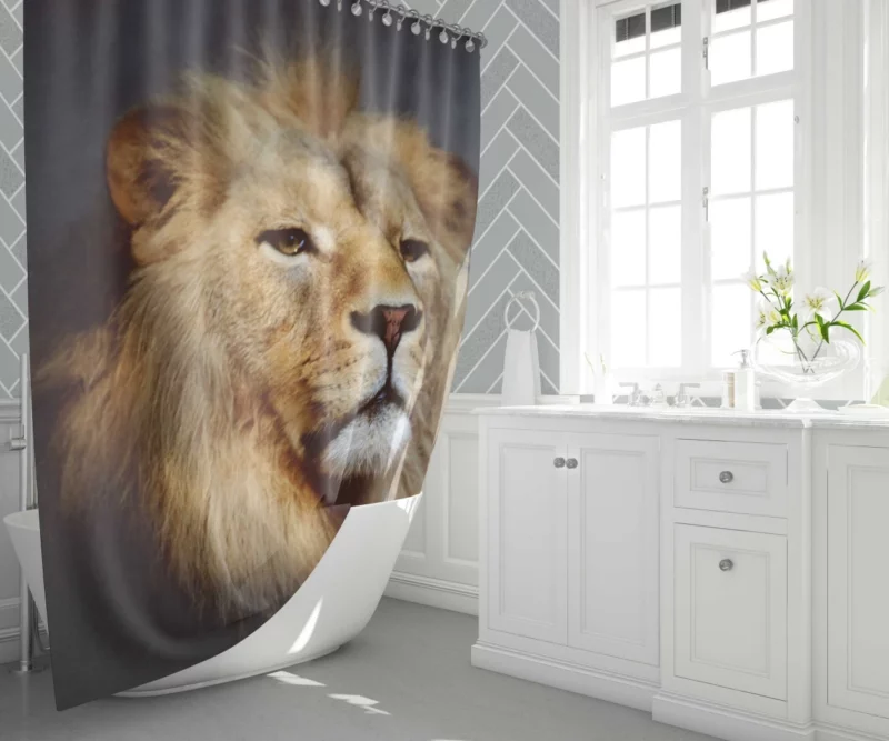 Majestic Majesty Lion Roaring Wilderness Shower Curtain 1