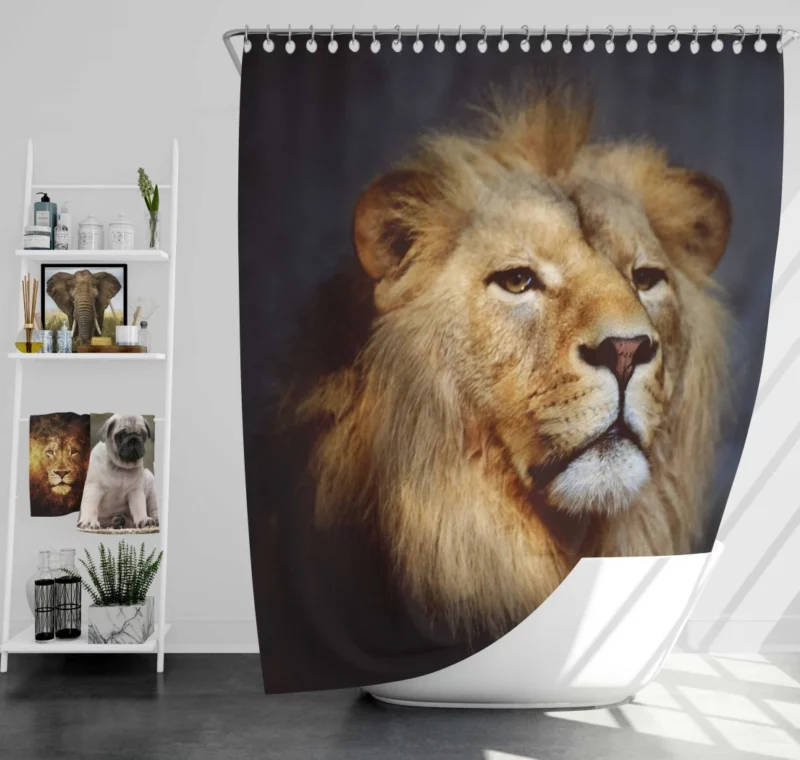 Majestic Majesty Lion Roaring Wilderness Shower Curtain