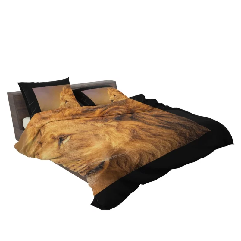 Majestic Male Lion Regal Gaze Bedding Set 2