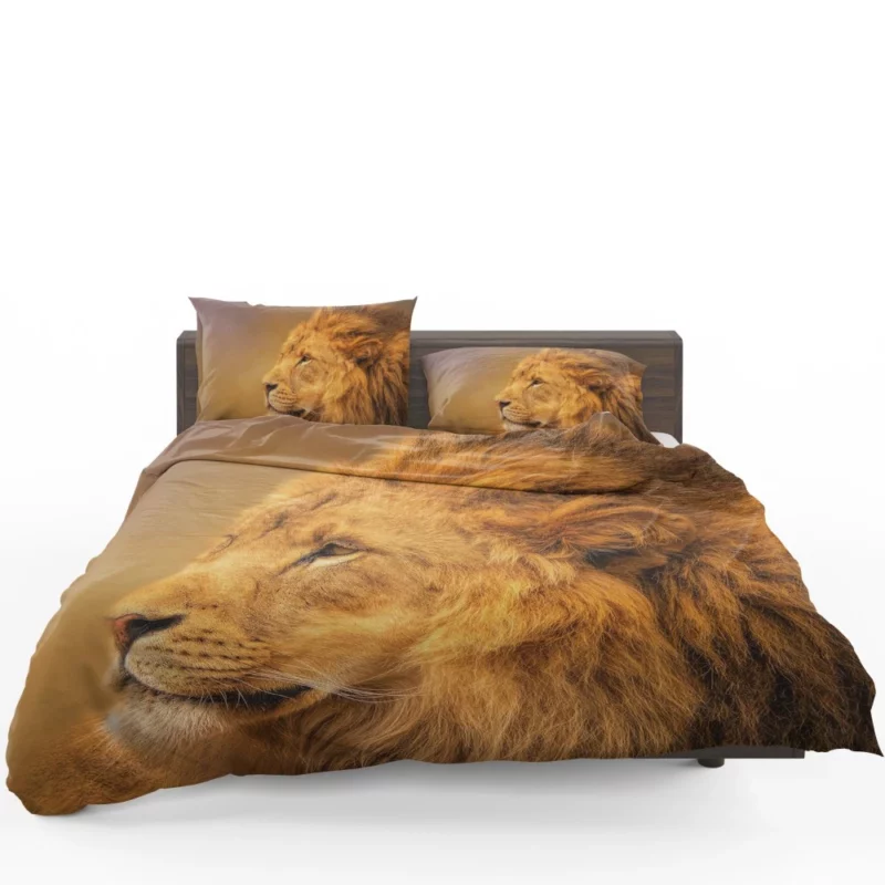 Majestic Male Lion Regal Gaze Bedding Set