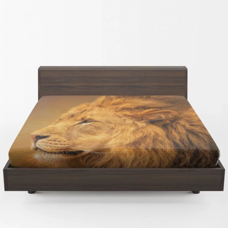 Majestic Male Lion Regal Gaze Fitted Sheet