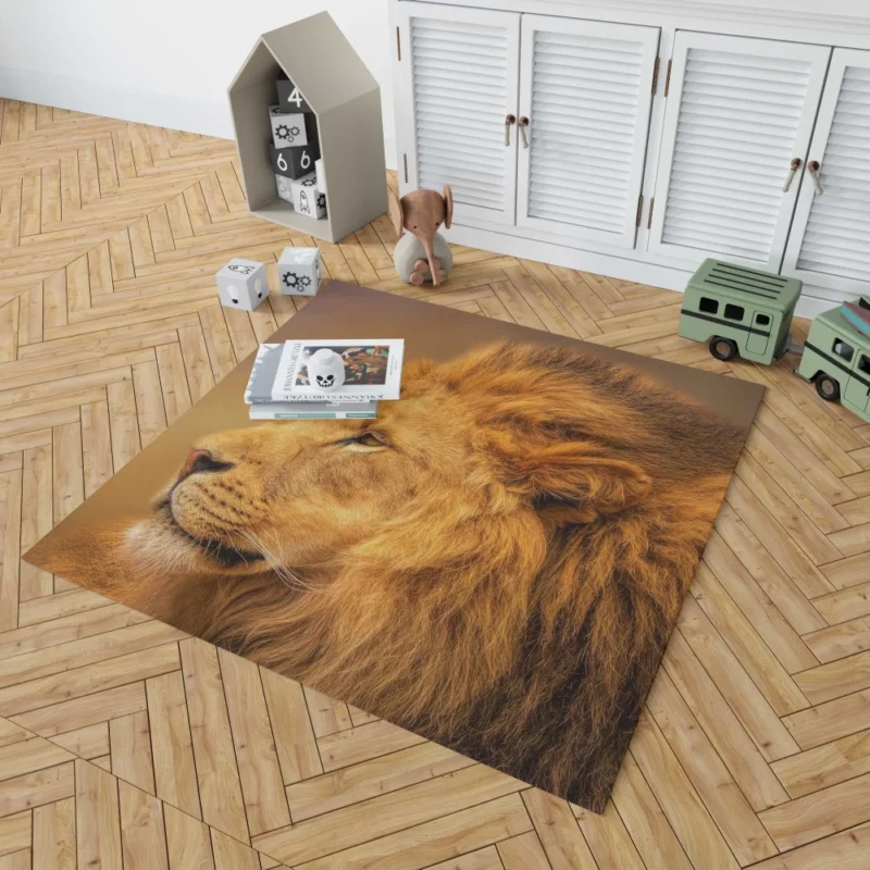 Majestic Male Lion Regal Gaze Rug 1