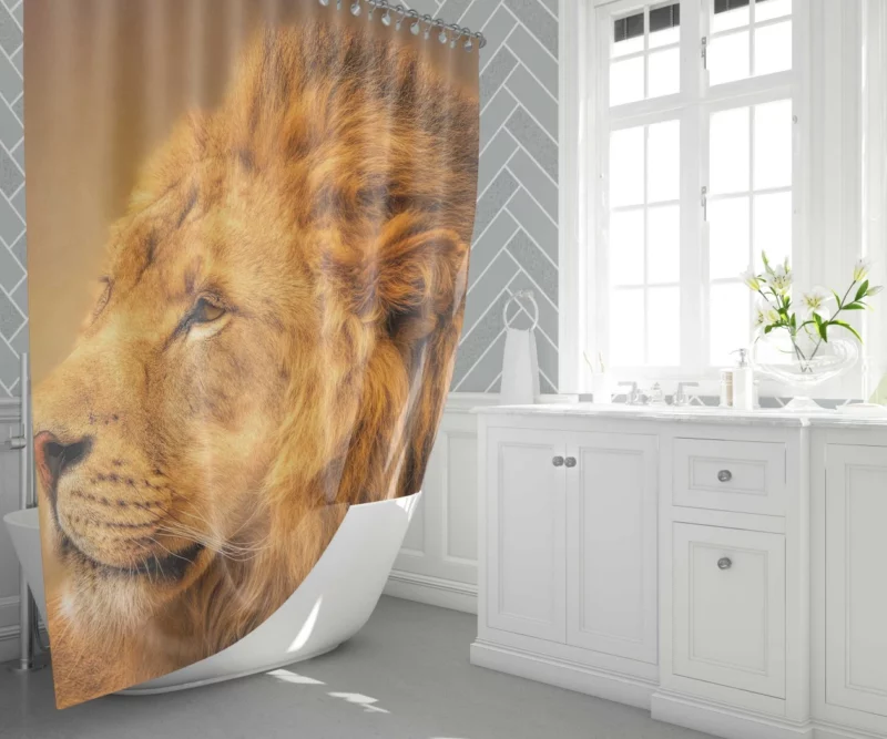 Majestic Male Lion Regal Gaze Shower Curtain 1