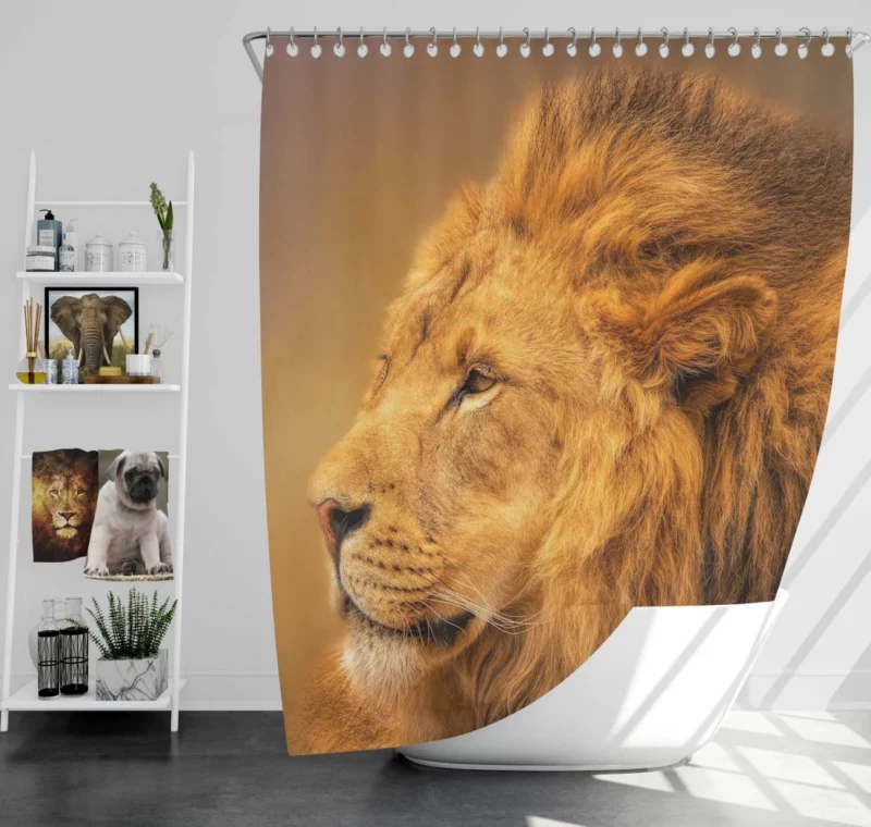 Majestic Male Lion Regal Gaze Shower Curtain