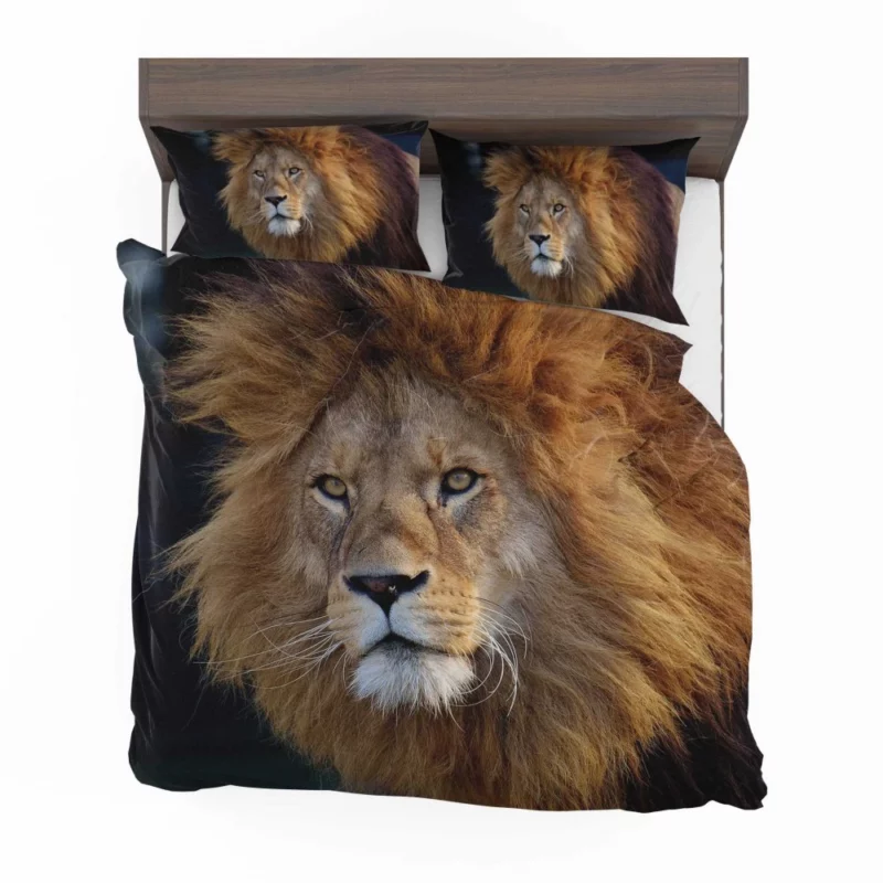 Majestic Male Lion Regal Presence Bedding Set 1