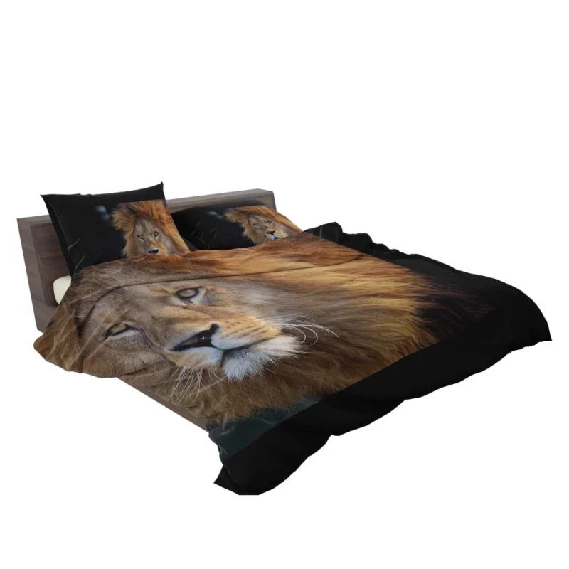 Majestic Male Lion Regal Presence Bedding Set 2