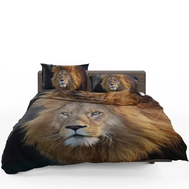 Majestic Male Lion Regal Presence Bedding Set