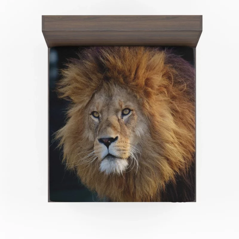 Majestic Male Lion Regal Presence Fitted Sheet 1