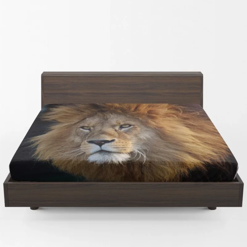 Majestic Male Lion Regal Presence Fitted Sheet