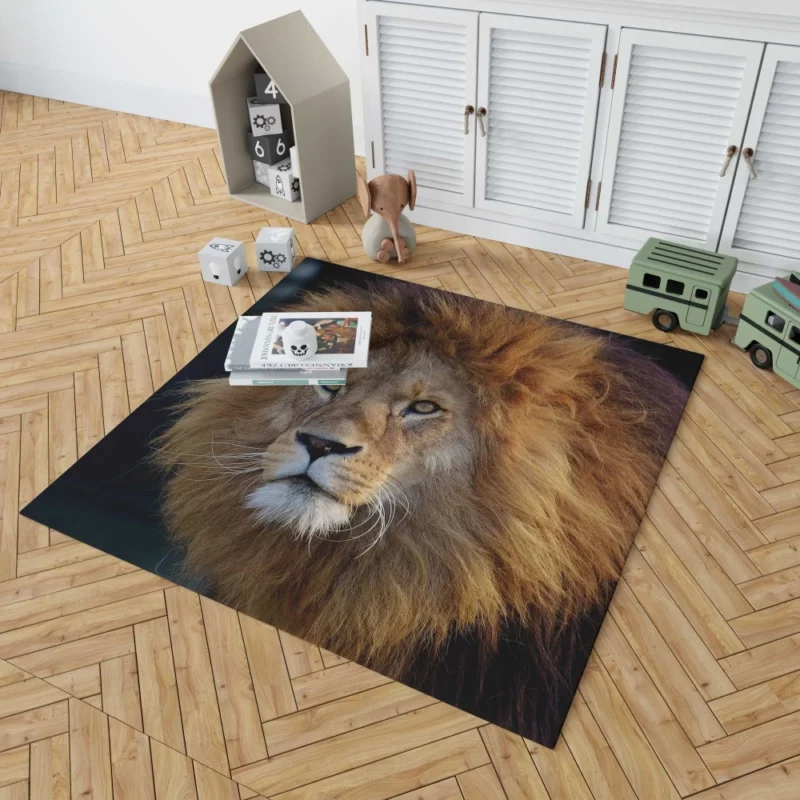 Majestic Male Lion Regal Presence Rug 1