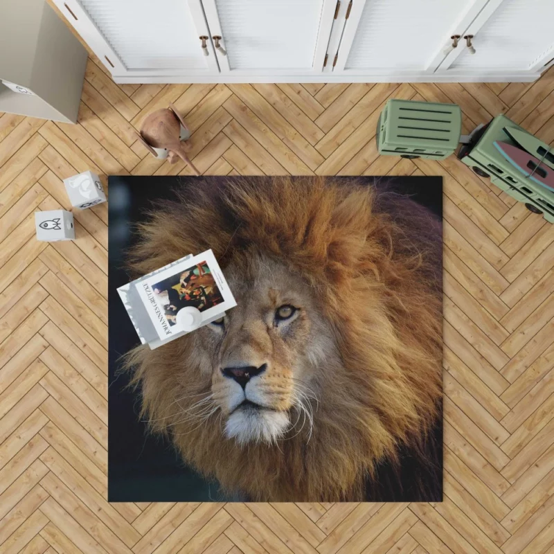 Majestic Male Lion Regal Presence Rug