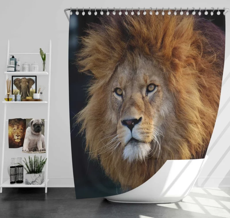 Majestic Male Lion Regal Presence Shower Curtain