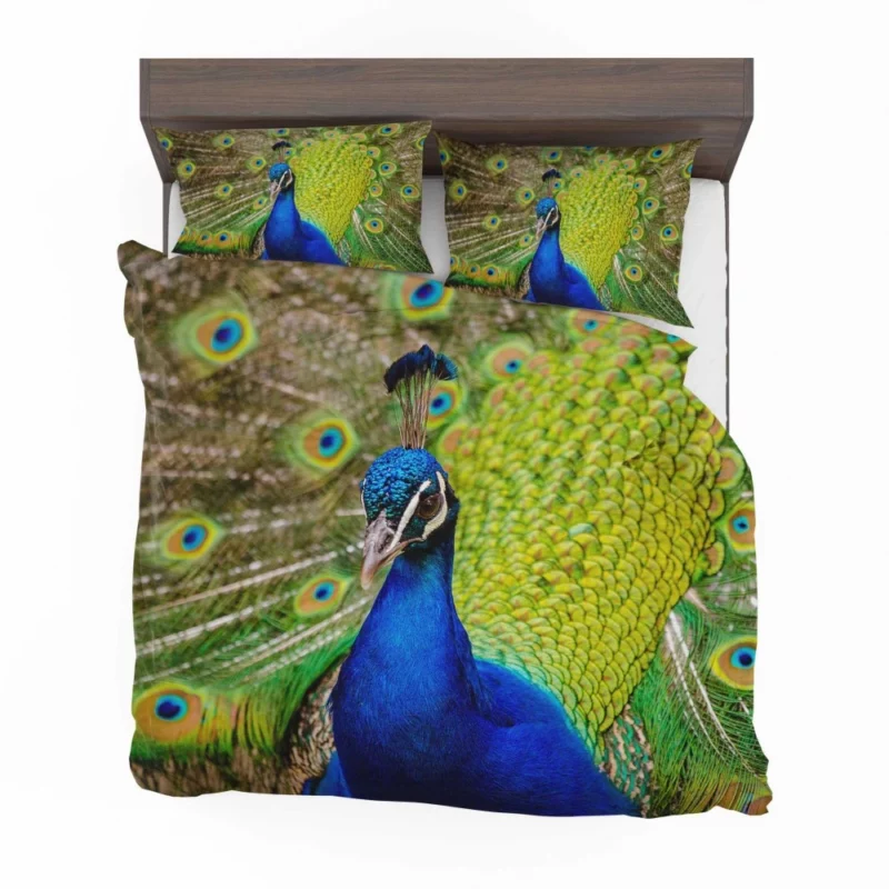 Majestic Peacock in Close-Up Avian Beauty Bedding Set 1