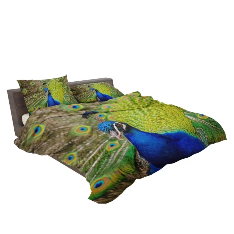 Majestic Peacock in Close-Up Avian Beauty Bedding Set 2