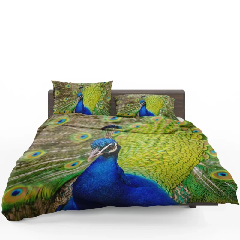 Majestic Peacock in Close-Up Avian Beauty Bedding Set