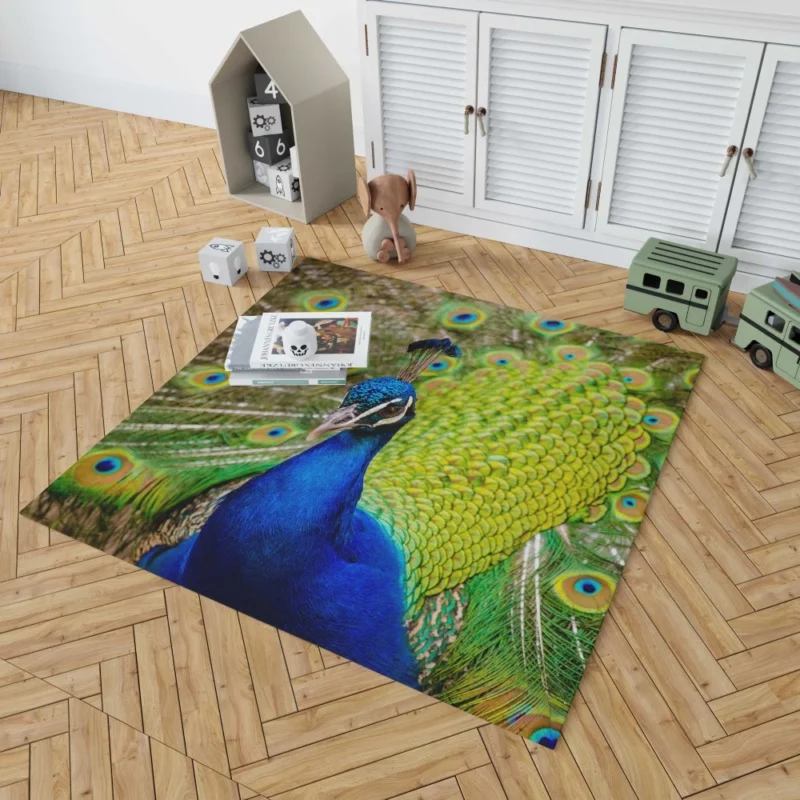 Majestic Peacock in Close-Up Avian Beauty Rug 1