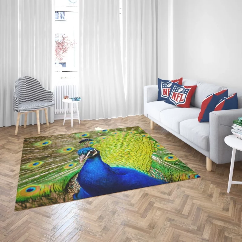 Majestic Peacock in Close-Up Avian Beauty Rug 2