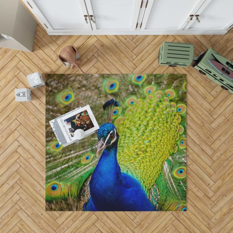 Majestic Peacock in Close-Up Avian Beauty Rug