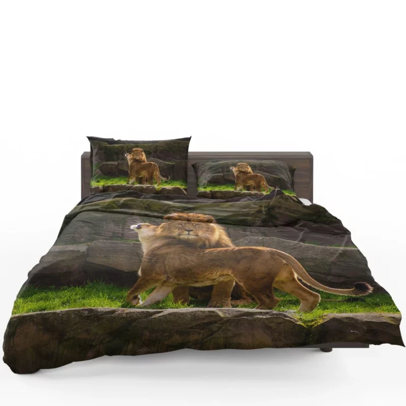 Majestic Stare Lion Authority Bedding Set