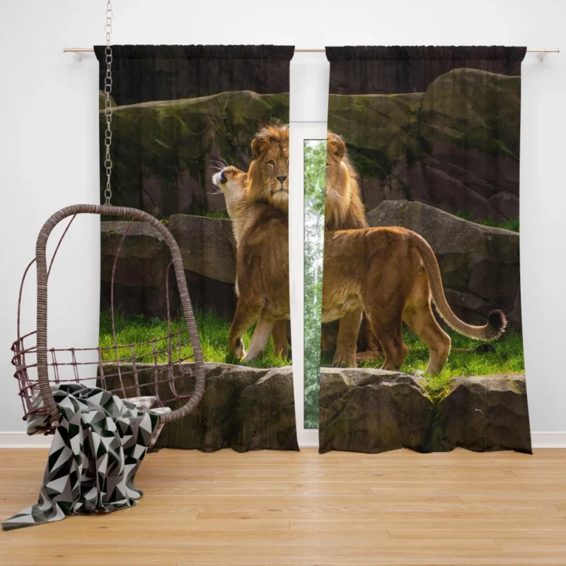 Majestic Stare Lion Authority Curtain