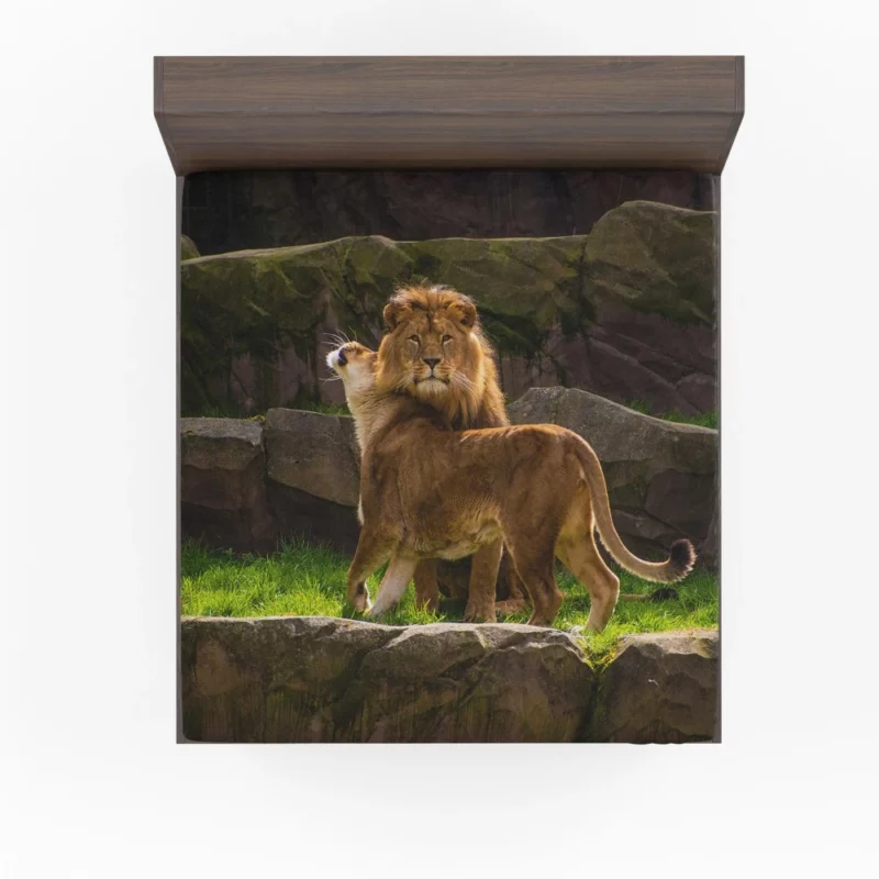 Majestic Stare Lion Authority Fitted Sheet 1