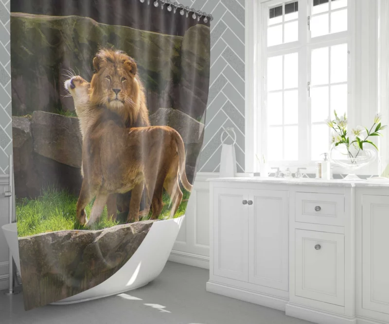 Majestic Stare Lion Authority Shower Curtain 1