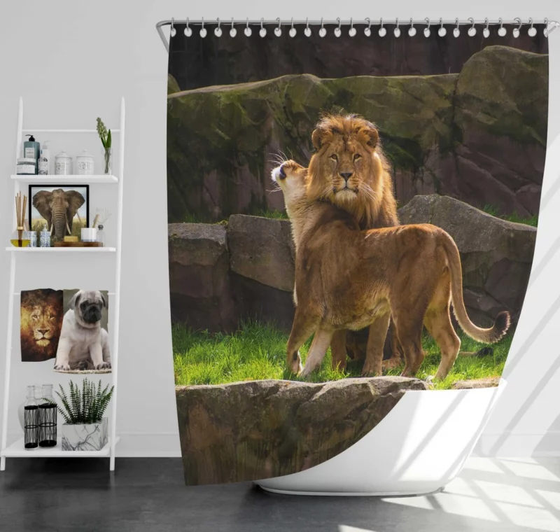 Majestic Stare Lion Authority Shower Curtain