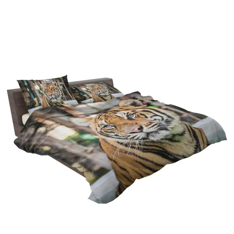 Majestic Tiger Enigmatic Gaze Bedding Set 2