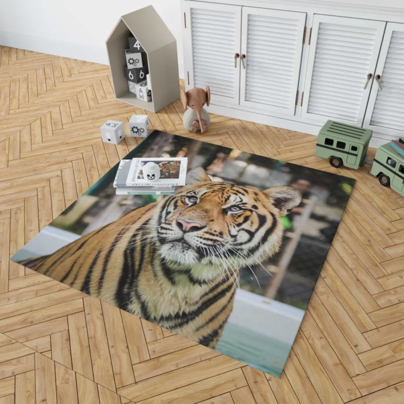 Majestic Tiger Enigmatic Gaze Rug 1