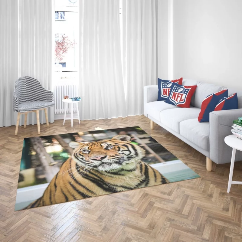 Majestic Tiger Enigmatic Gaze Rug 2