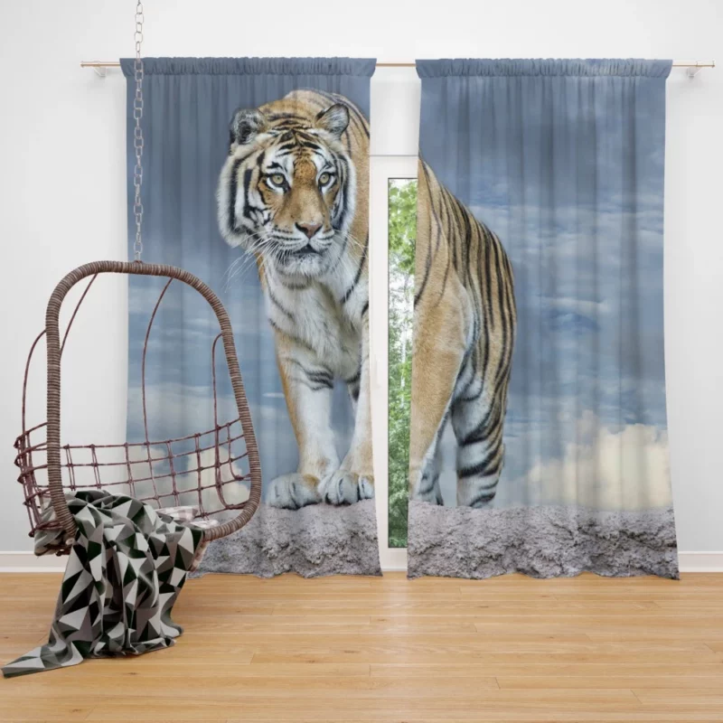 Majestic Tiger Enigmatic Stare Curtain