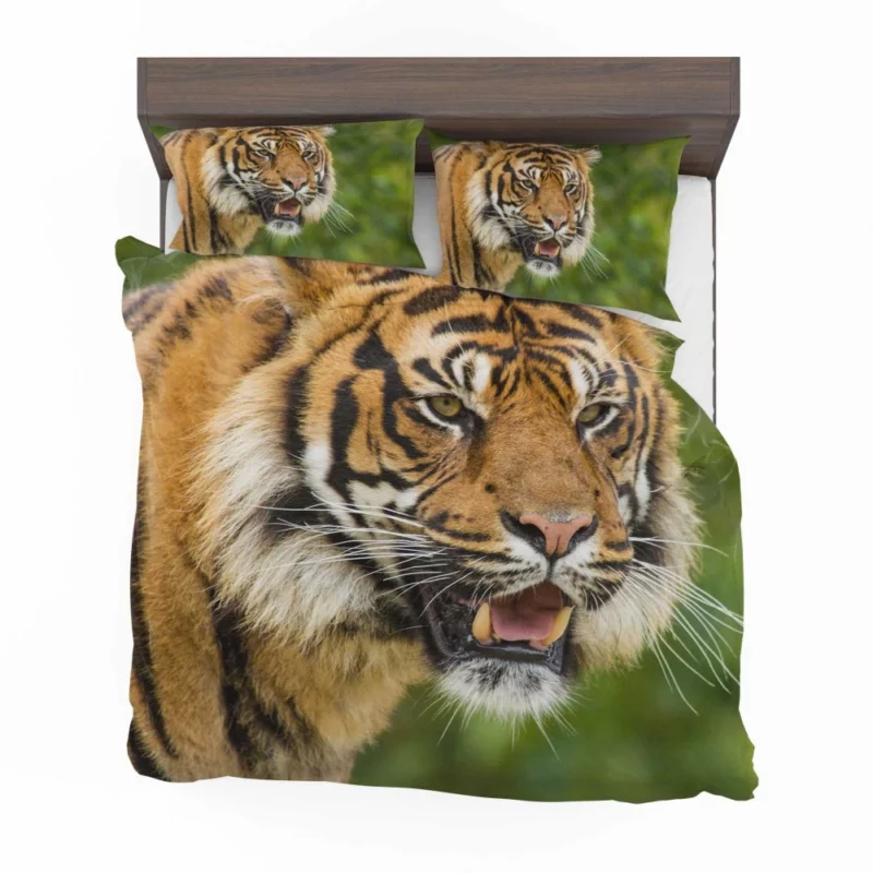 Majestic Tiger Fierce Gaze Bedding Set 1