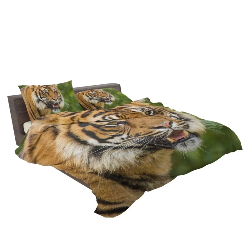 Majestic Tiger Fierce Gaze Bedding Set 2