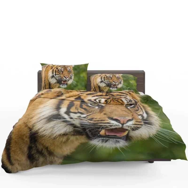 Majestic Tiger Fierce Gaze Bedding Set