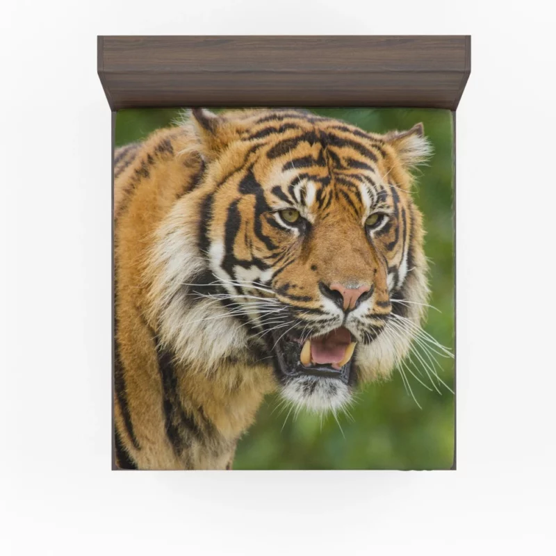 Majestic Tiger Fierce Gaze Fitted Sheet 1