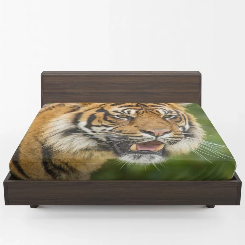 Majestic Tiger Fierce Gaze Fitted Sheet