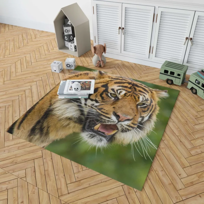 Majestic Tiger Fierce Gaze Rug 1