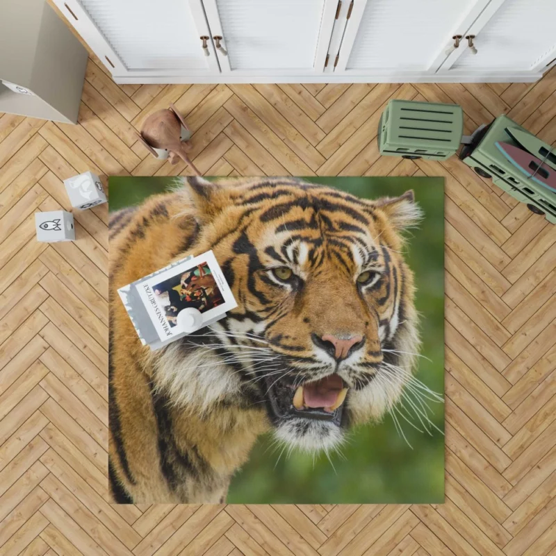 Majestic Tiger Fierce Gaze Rug