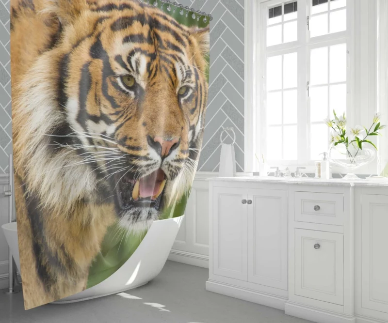 Majestic Tiger Fierce Gaze Shower Curtain 1