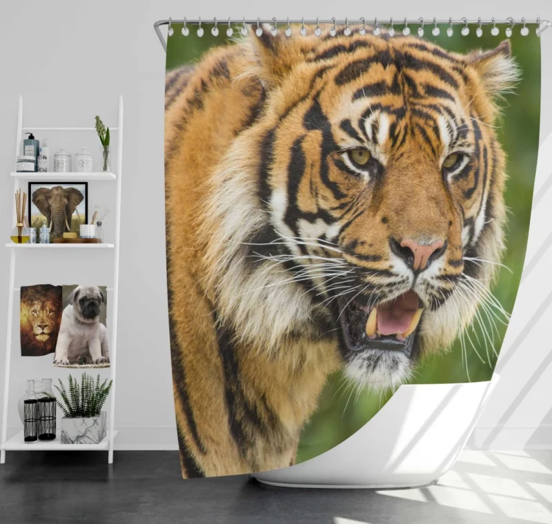 Majestic Tiger Fierce Gaze Shower Curtain