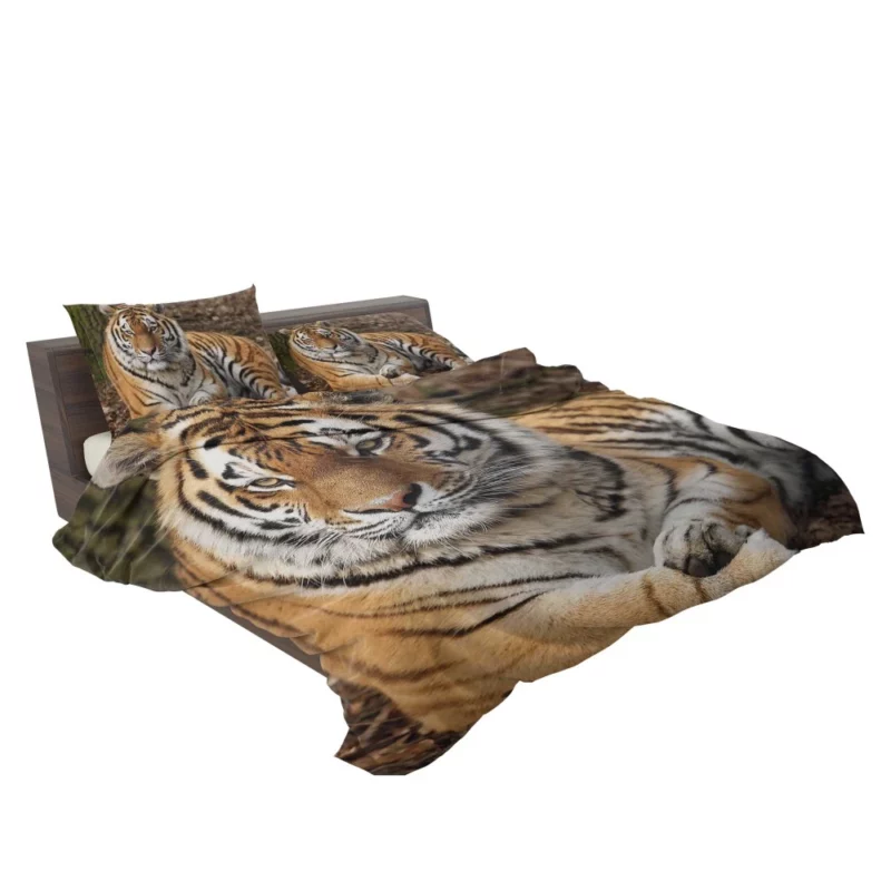 Majestic Tiger Fierce Stance Bedding Set 2