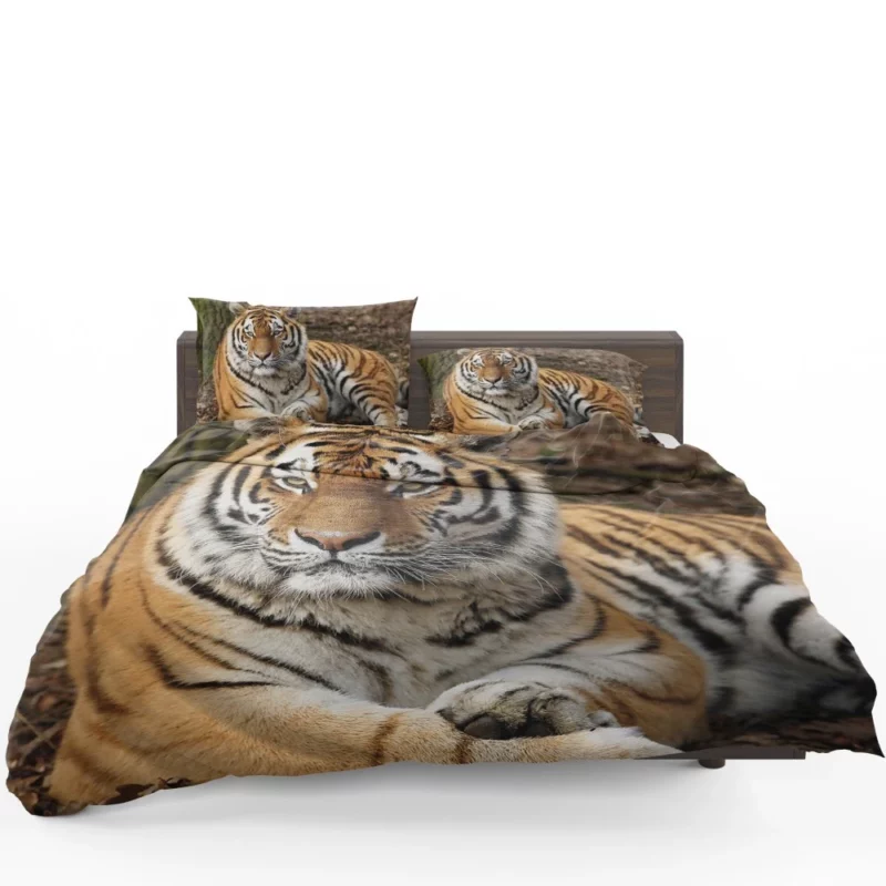 Majestic Tiger Fierce Stance Bedding Set