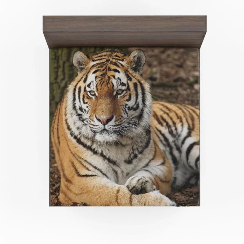 Majestic Tiger Fierce Stance Fitted Sheet 1