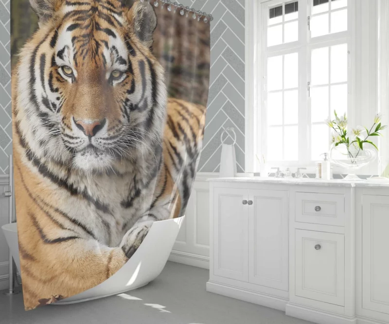 Majestic Tiger Fierce Stance Shower Curtain 1