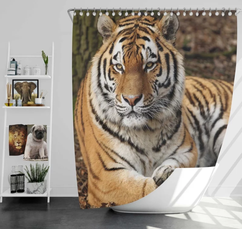 Majestic Tiger Fierce Stance Shower Curtain