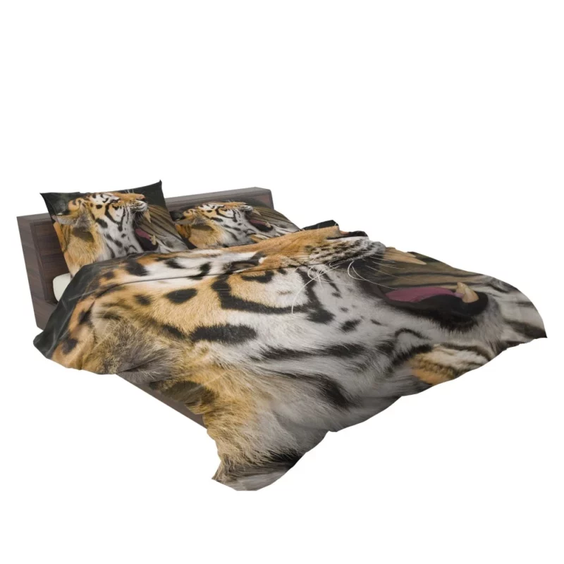 Majestic Tiger Roar Untamed Majesty Bedding Set 2