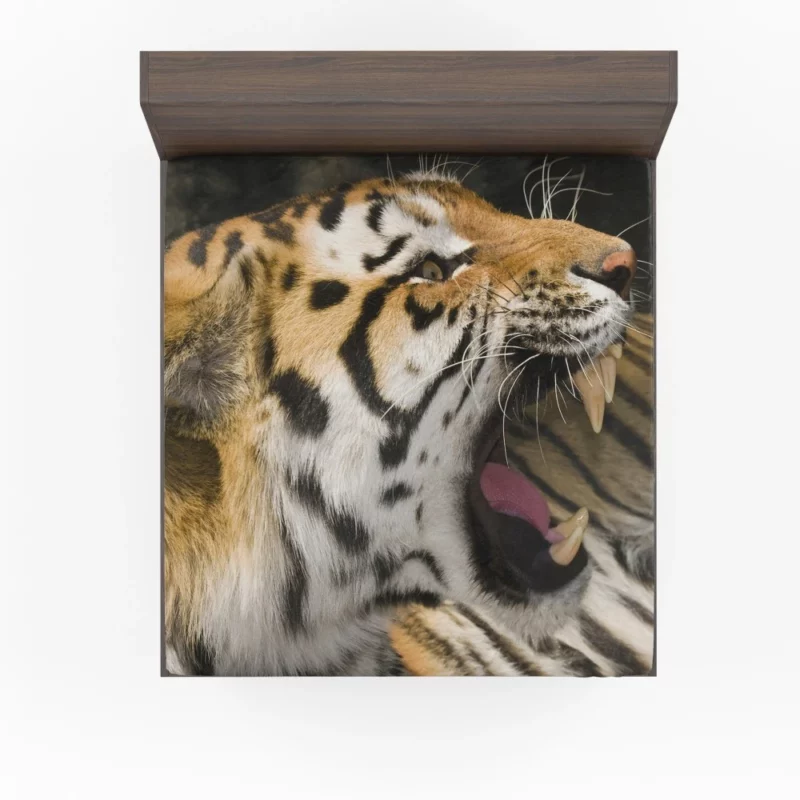 Majestic Tiger Roar Untamed Majesty Fitted Sheet 1