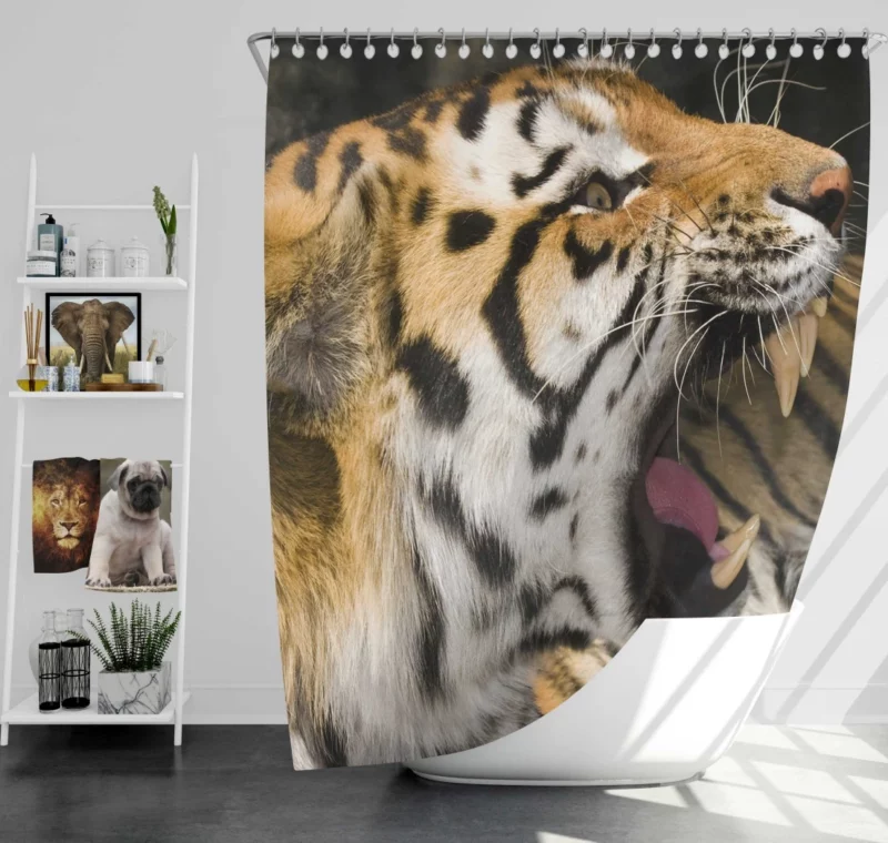 Majestic Tiger Roar Untamed Majesty Shower Curtain